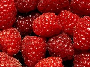 Raspberries raspeberries