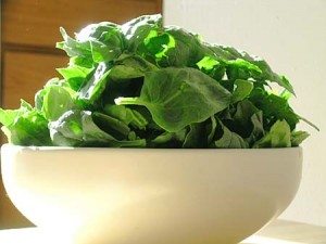 spinach spinach