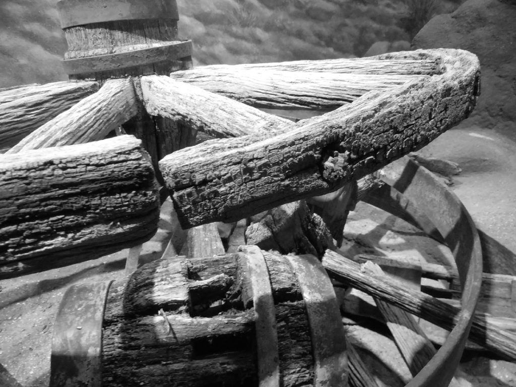 PhotoVoice Reception to Showcase Participant Photos June 15