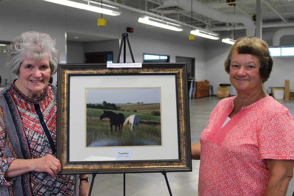 Picturing Peace Reception 2016