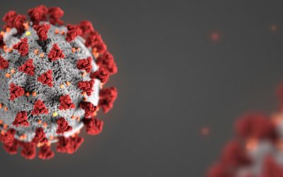 Conectores Comunitarios Bilingües