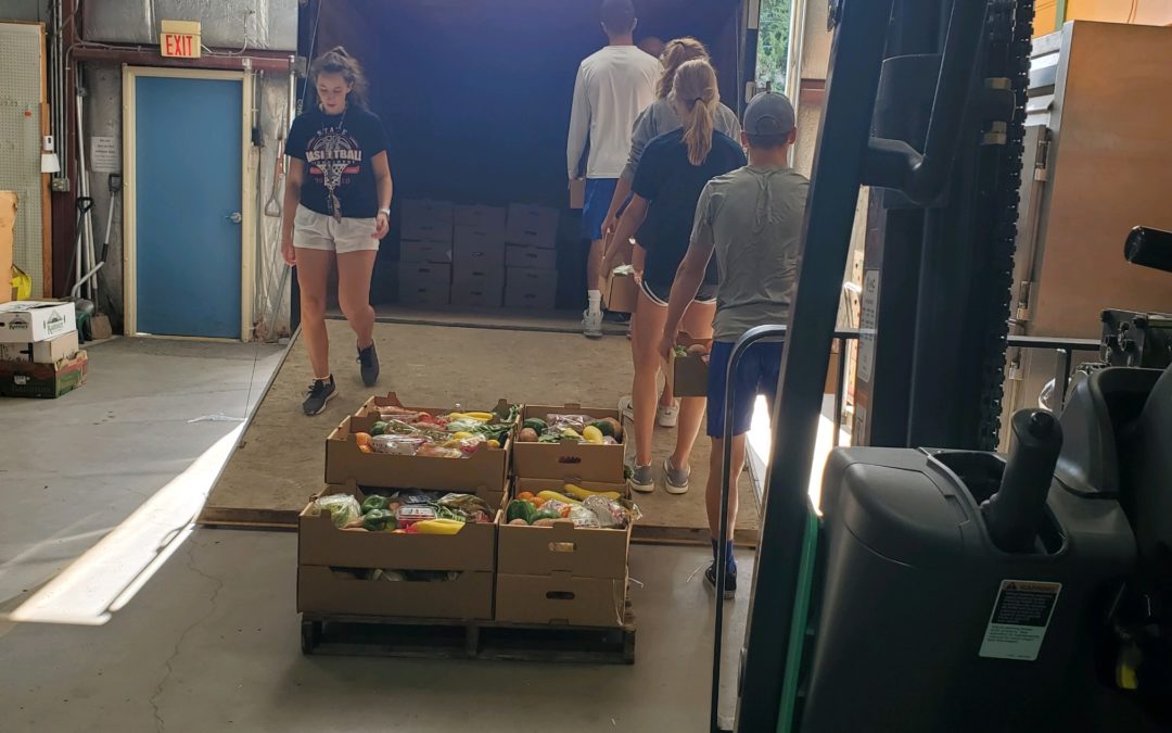 USDA Contract To Local Vendor to Provide “Food Boxes”